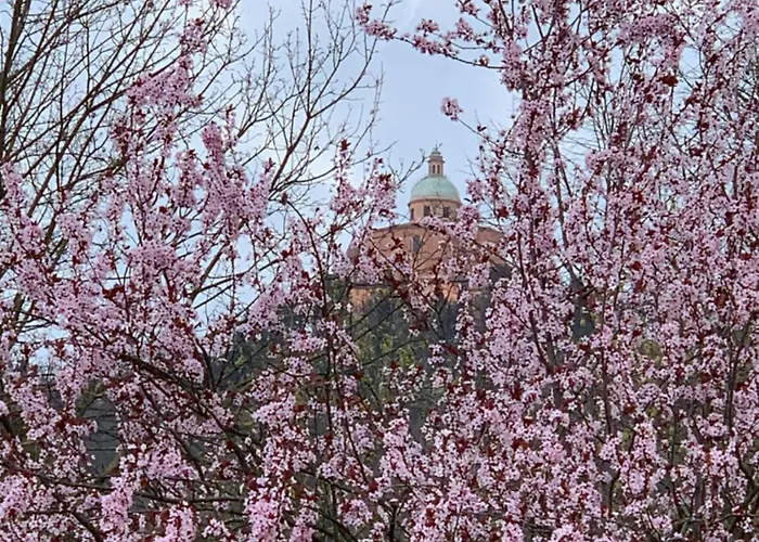 아파트 San Luca Exclusive *