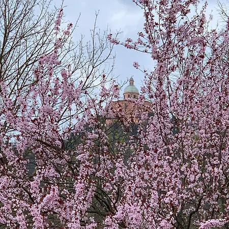 Apartamento San Luca Exclusive *